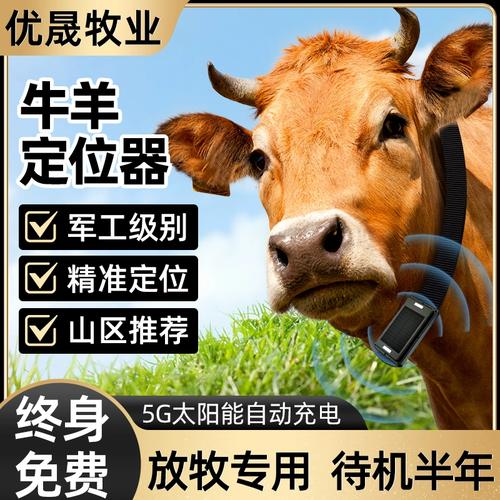 山区放牧不再愁 GPS北斗双模牛羊定位器，防丢追踪神器全解析